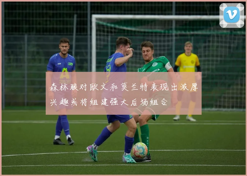 森林狼对欧文和莫兰特表现出浓厚兴趣或将组建强大后场组合